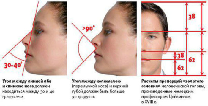 Пропорции Лица По Фото Онлайн